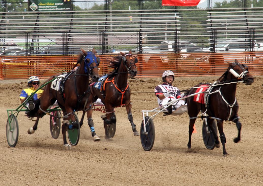 OHHA to Live Stream from Mahoning and Fulton County Fairs