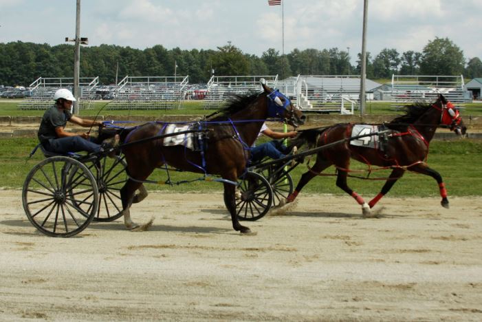OHHA to Live Stream Races from Geauga County Fair