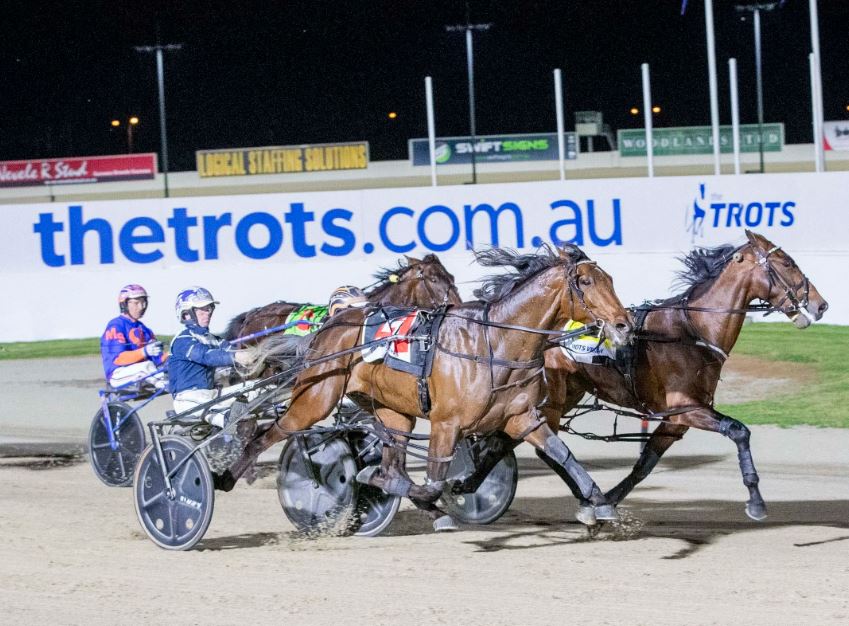 Gleeson pins Eureka hopes on Go Miki