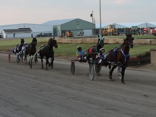 OHHA to Live Stream Races from Henry County Fair