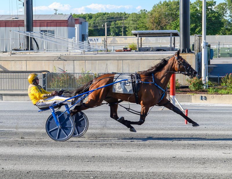 Incaseyoudidntknow continues impressive run