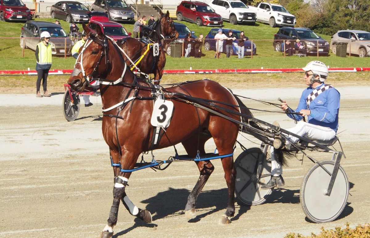 Williamson spring firepower