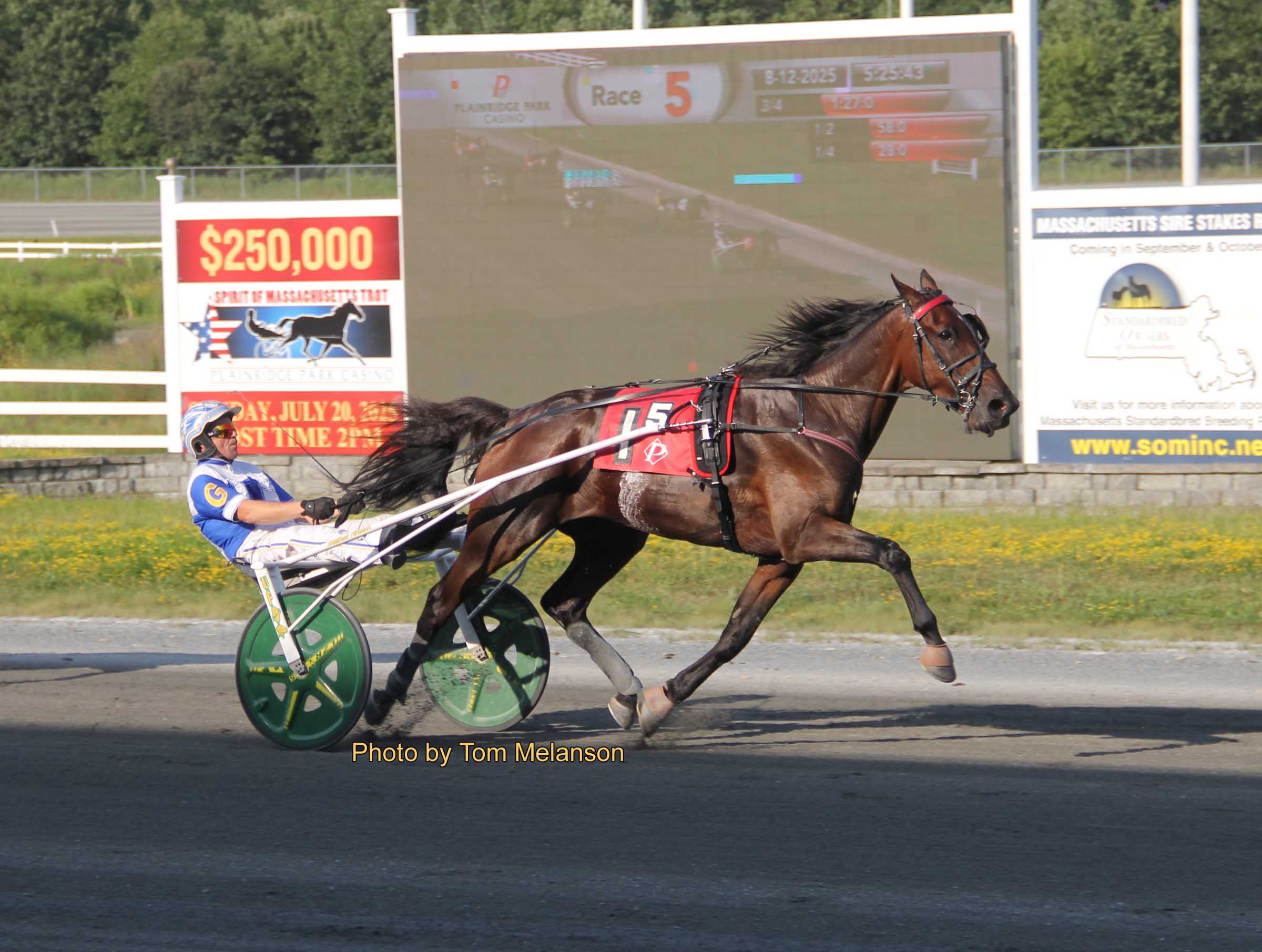 $21,000 trot features won by longshot and favorite