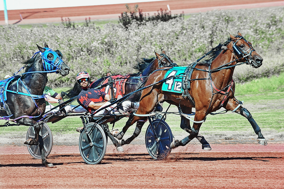 Fast miles and upsetters highlight Saturday card