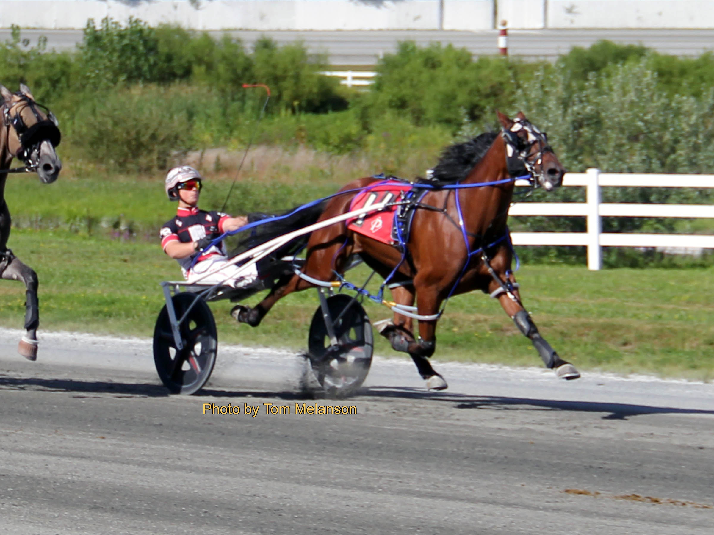 3YO track record shattered by Jackson Cooper