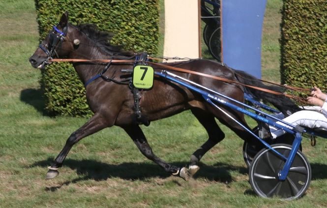 Jo Jo Toons wins 13th leg Trophee Vert