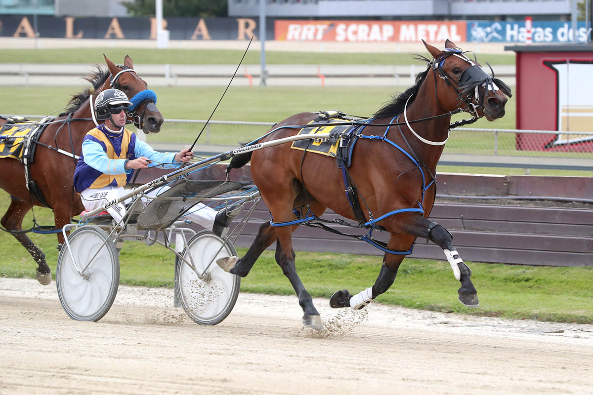 Lakelsa heads Todd’s weekend chances