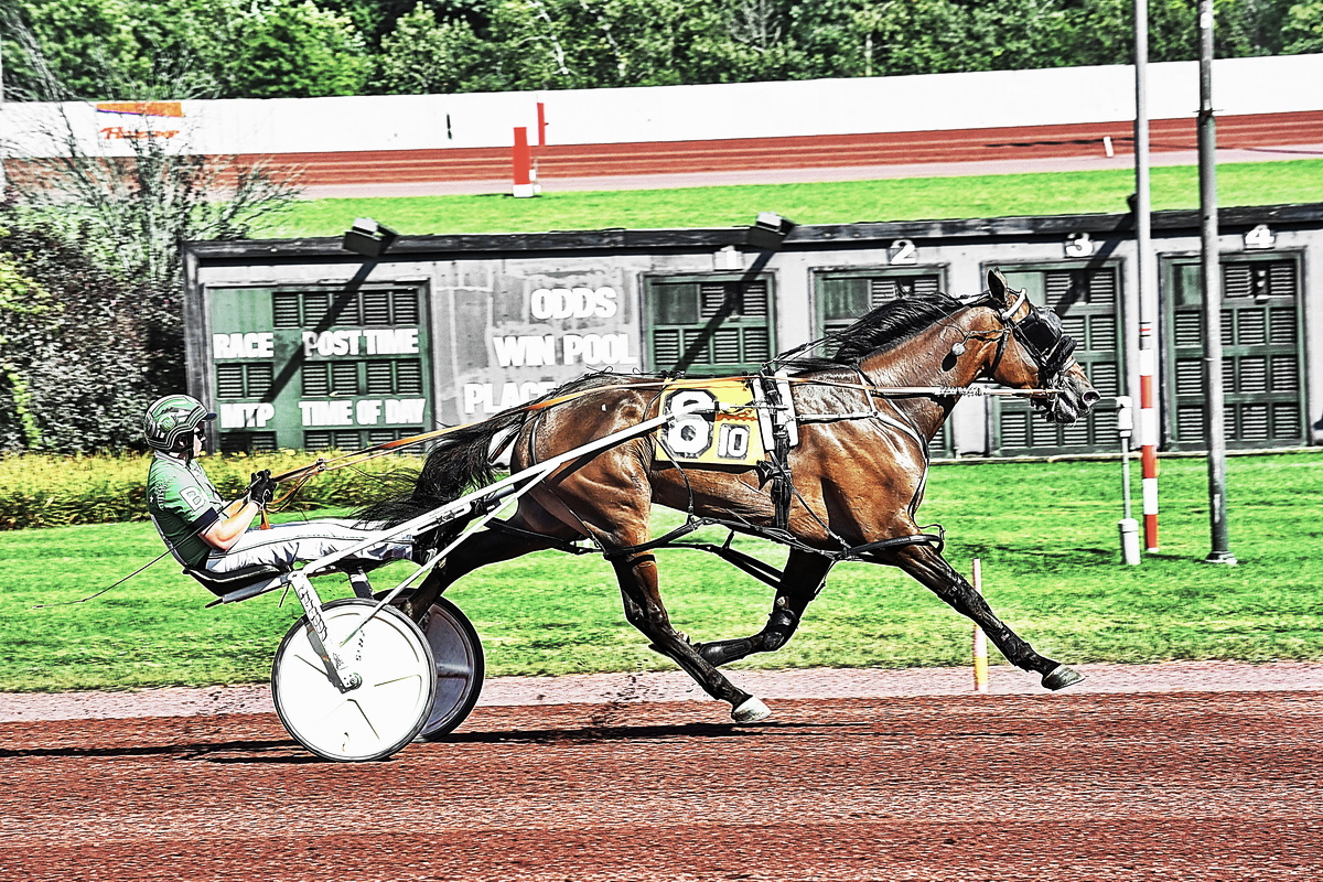 Always B Miki gelding easily withstands rivals