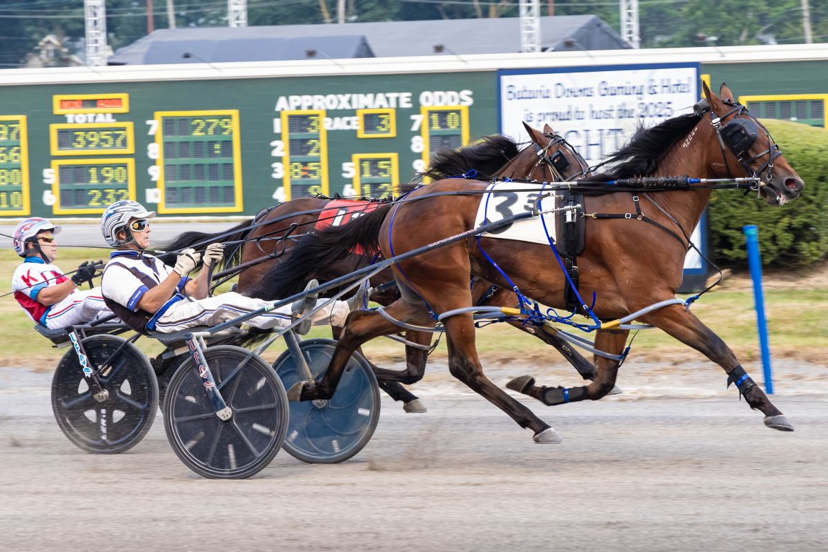 $110,000 in purses for 2-year-old pacing fillies divided up