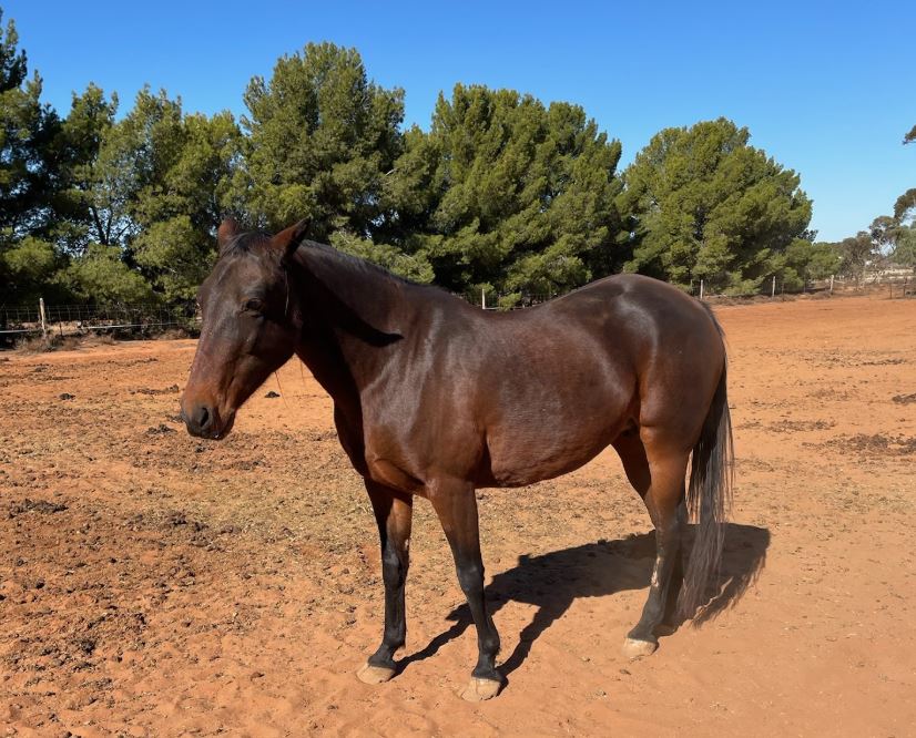 Ooh La La – She’s very chic!