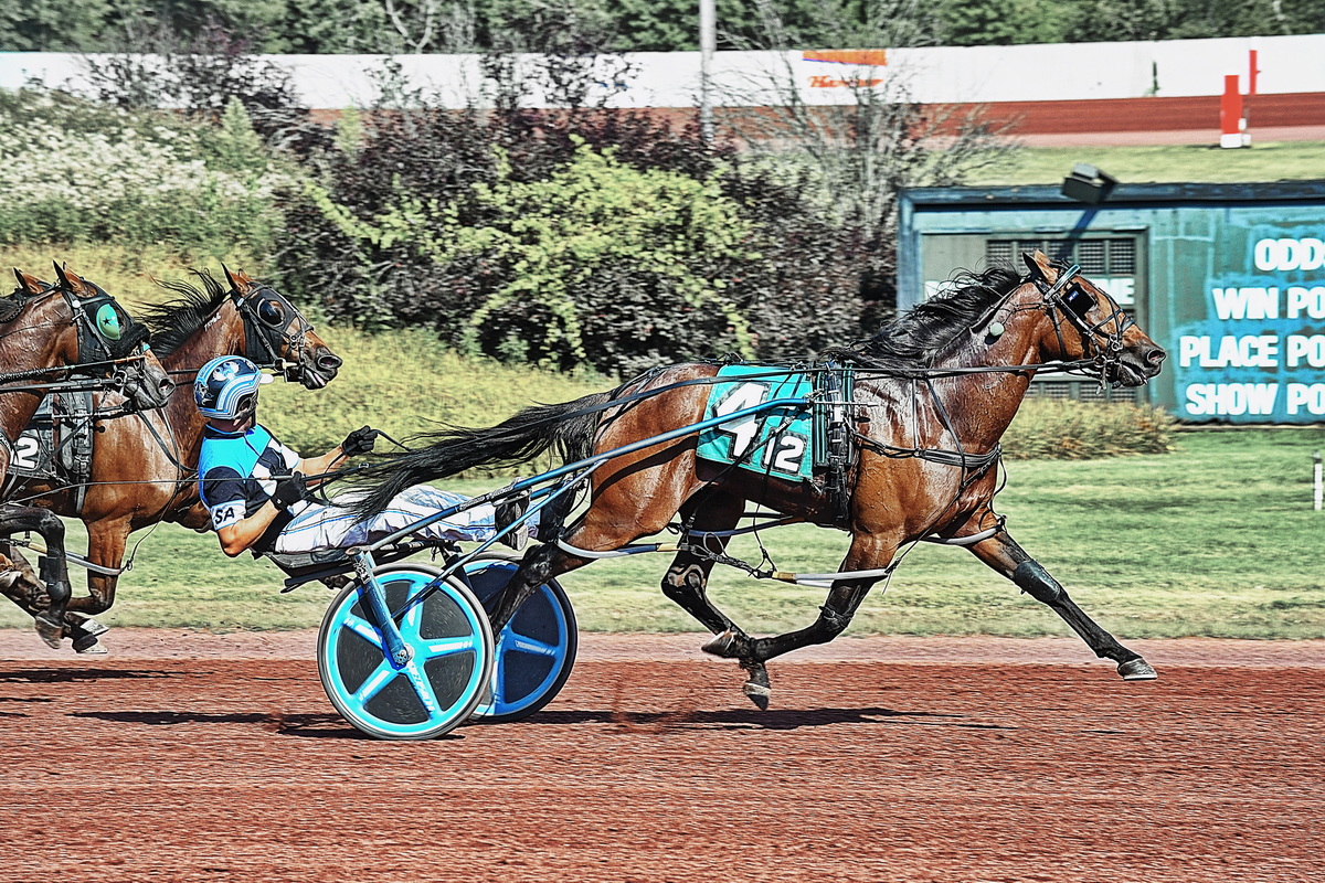 Always A Virgin colt scores second win for new conditioner