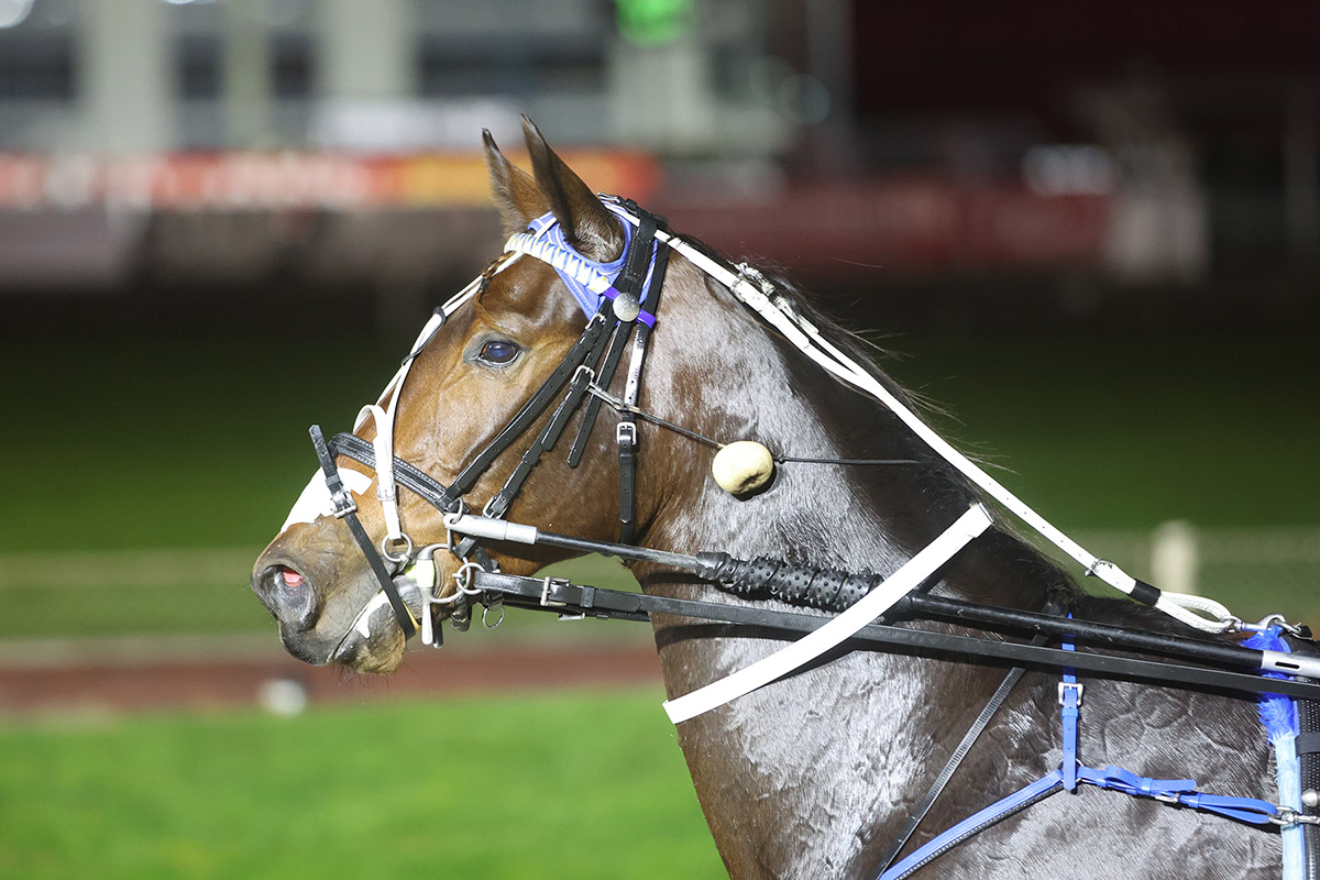 Marketplace to hit out on Tuesday