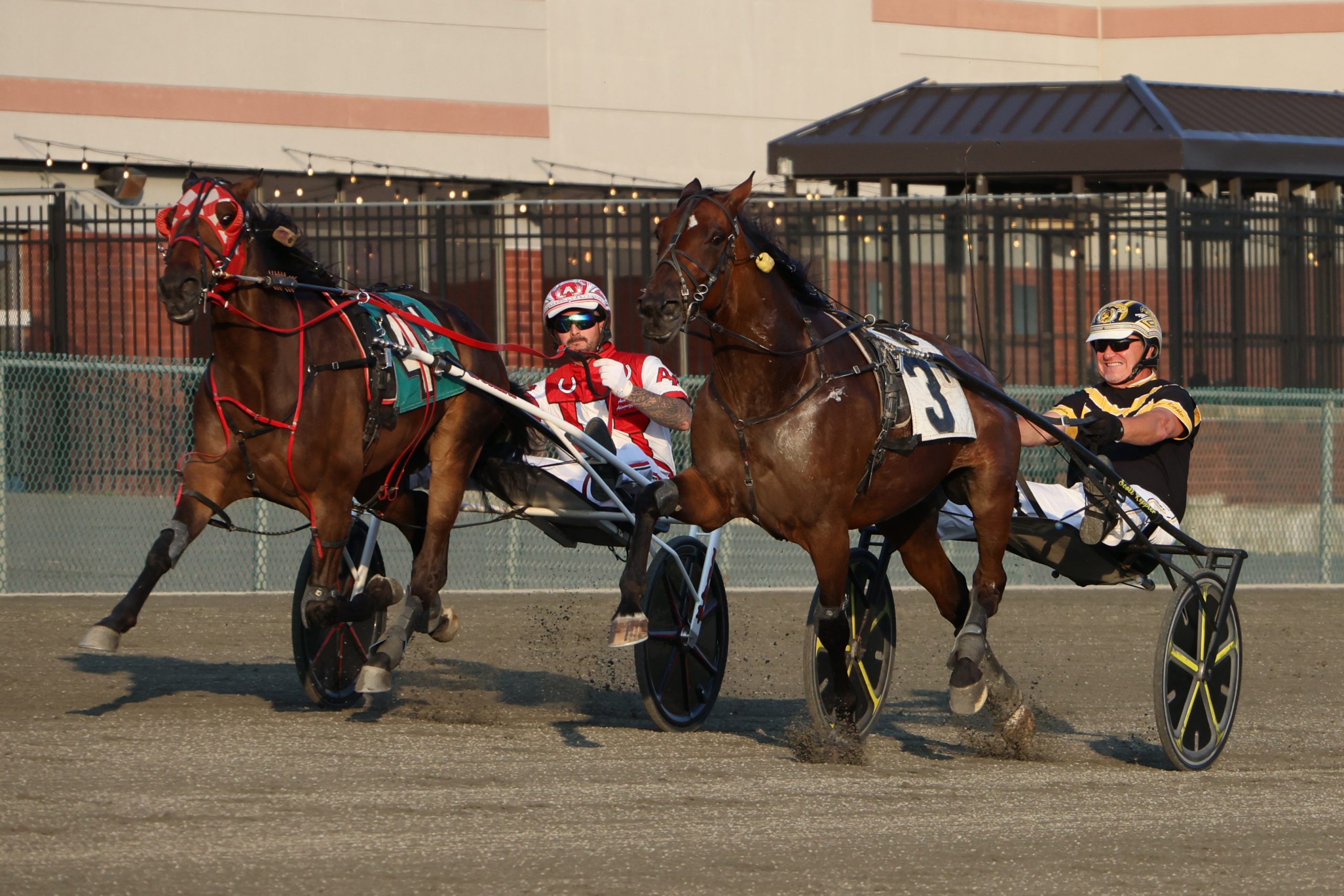 NAADA donates $2,500 to Purple Haze, Disabled American veterans