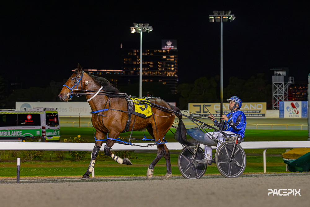 Trent’s Tips – Gloucester Park 19th December