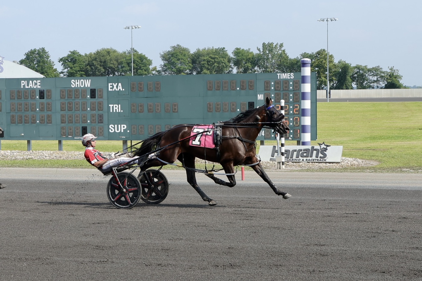 Dexter Dunn and classy filly take out $109,440 PaSS division