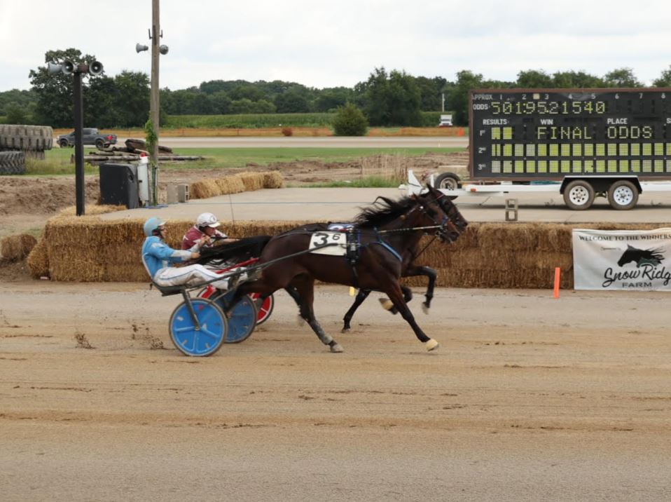 Dead heat highlights Michigan Sire Stakes action