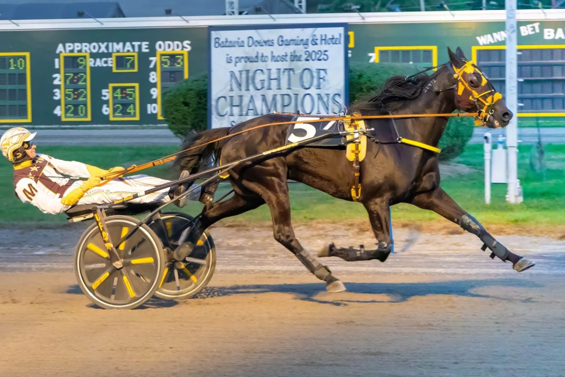 Monti wins five including co-feature at Batavia Downs