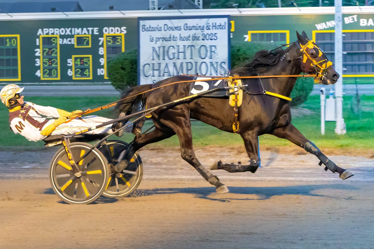 Monti gets a five bagger