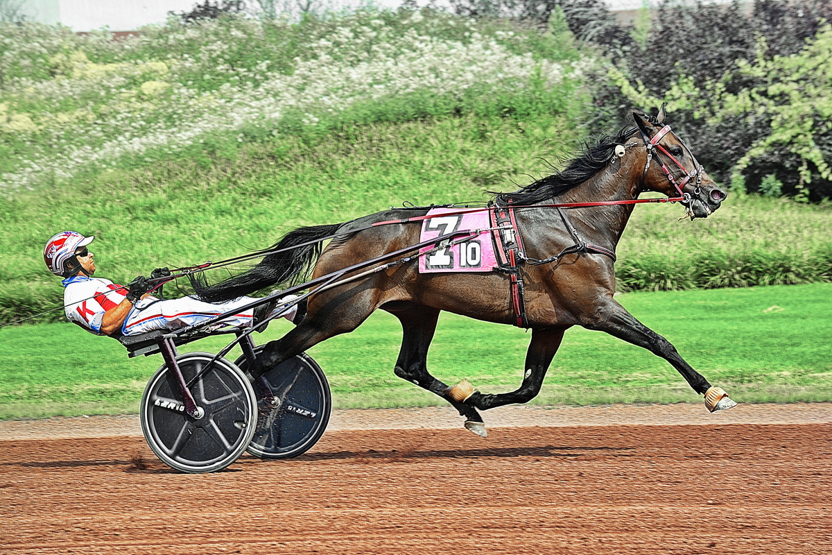 On Higher Ground too good for rivals