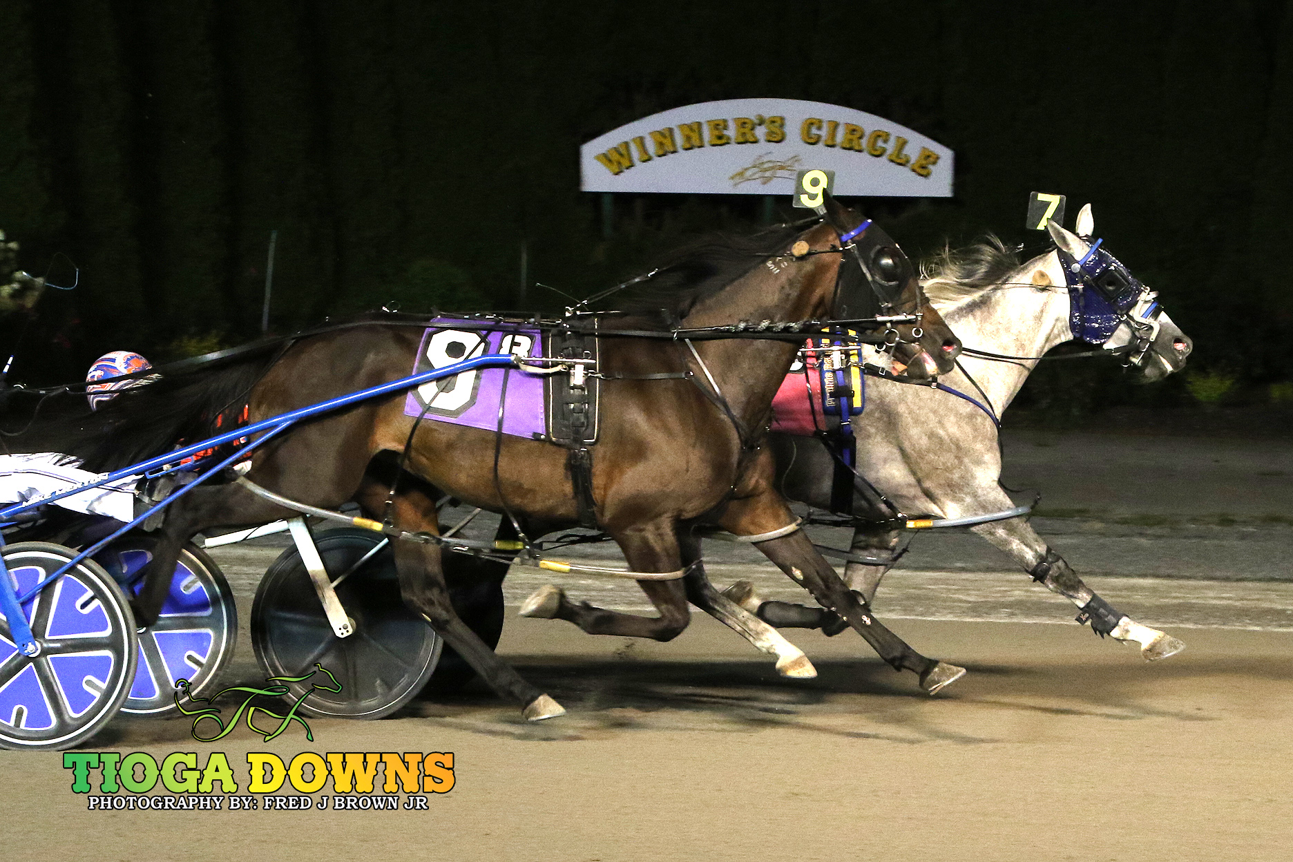 Longshot Prairie Magical delivers value