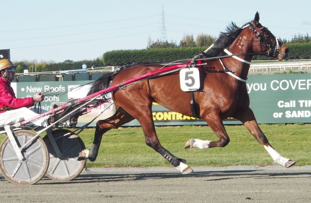 Darren DeFilippi Memorial special for Williamson