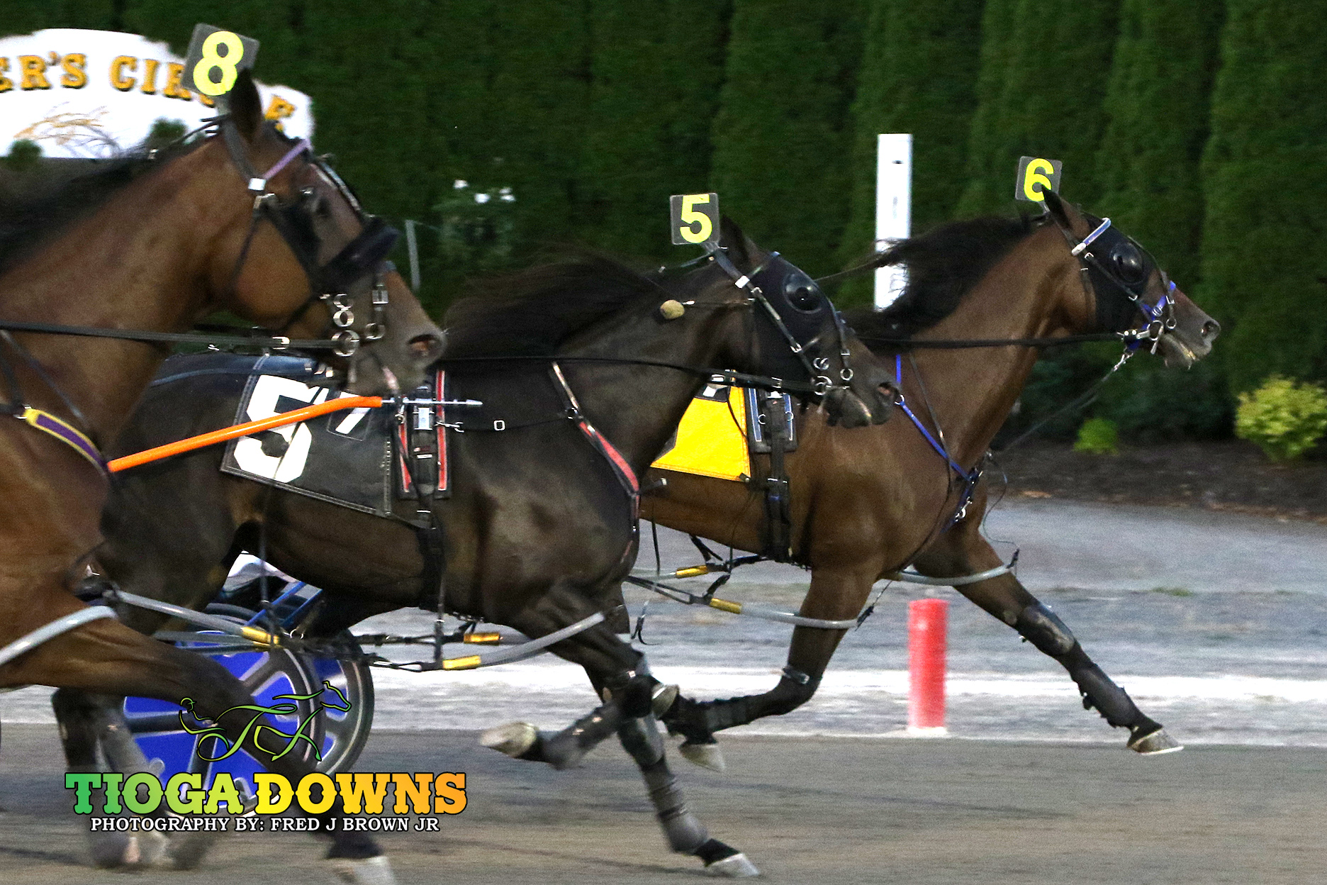 Quarrel gets third win of the season