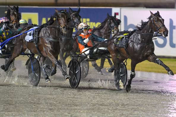 Anton Golino and Will Rixon combine to win Trot on Rakero Blaze