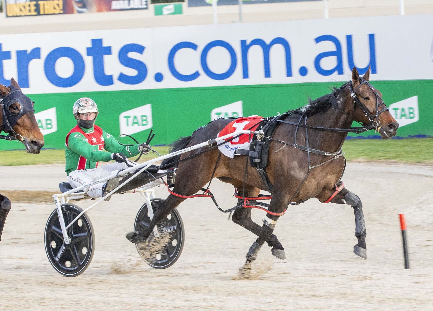 Star pacing mare retired to stud