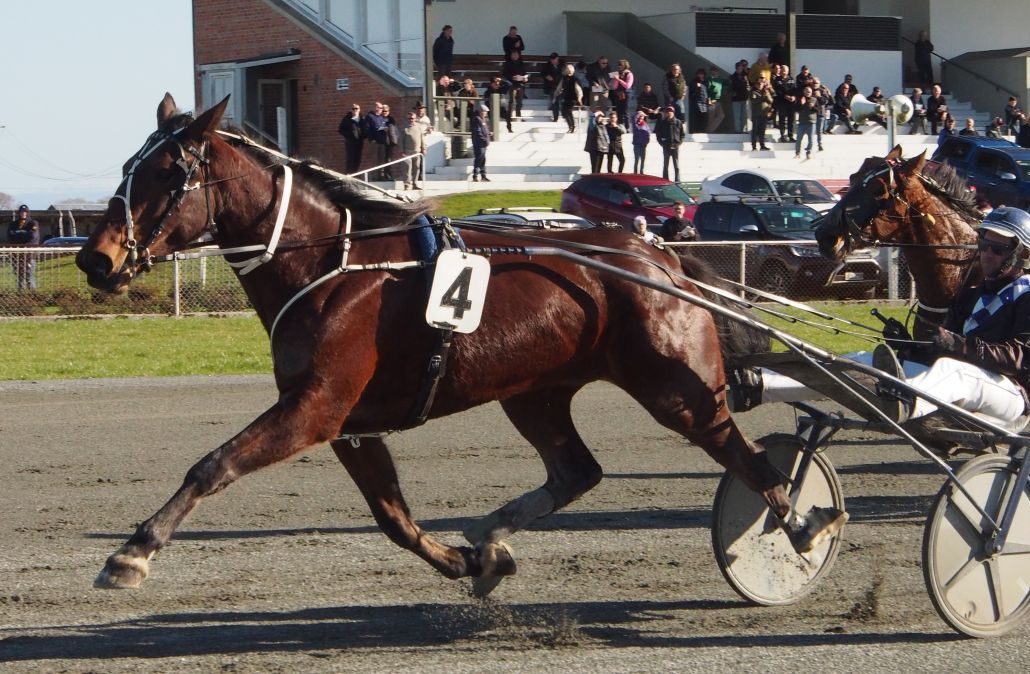 Rangitata wins on debut