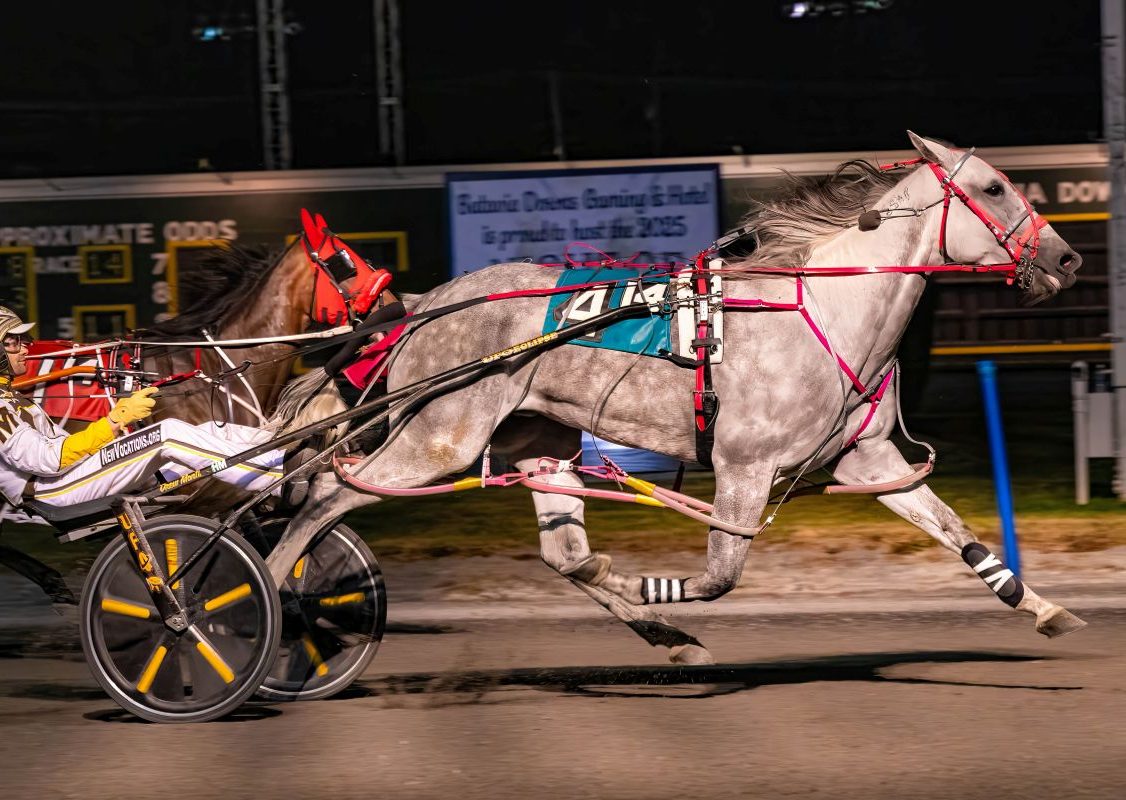 Rightfully Mine upsets rivals