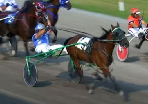 Rose Run X Con gives Rogers 1,000