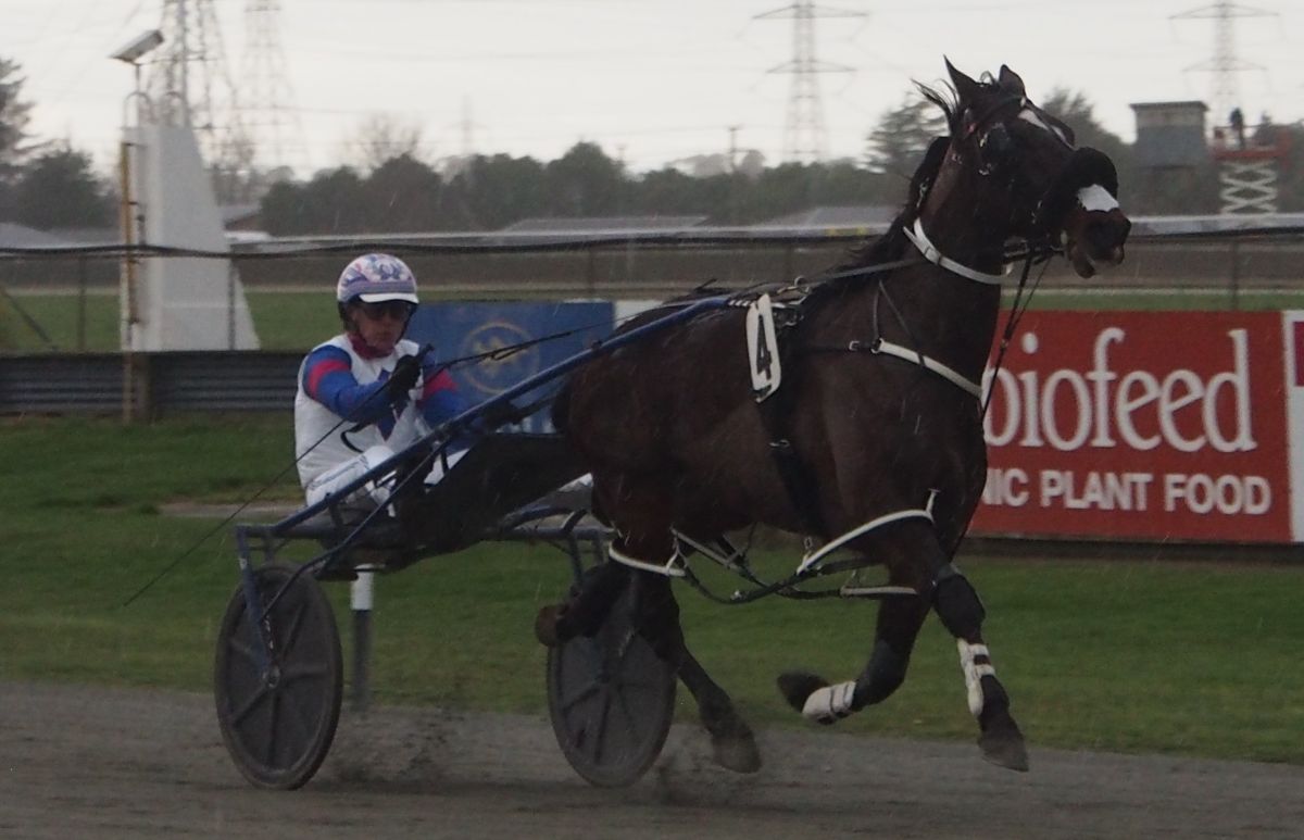 Saucy Delight gives Bev Williamson her 100th winner