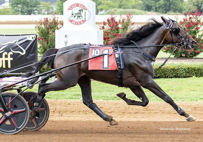 Setyoursightshigh remains hot in KSS