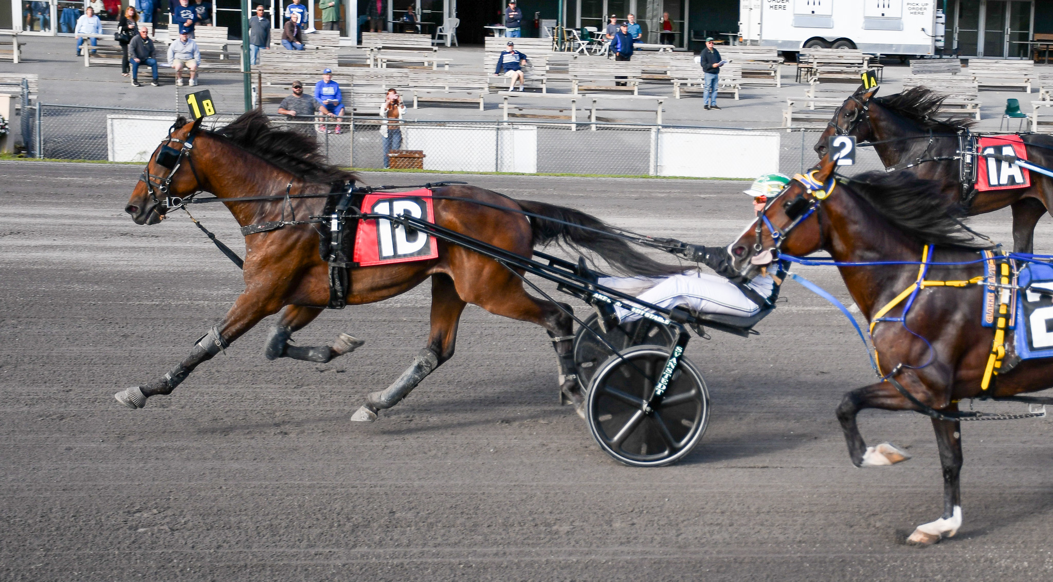 Seven Grand trots to $112,100 NYSS victory