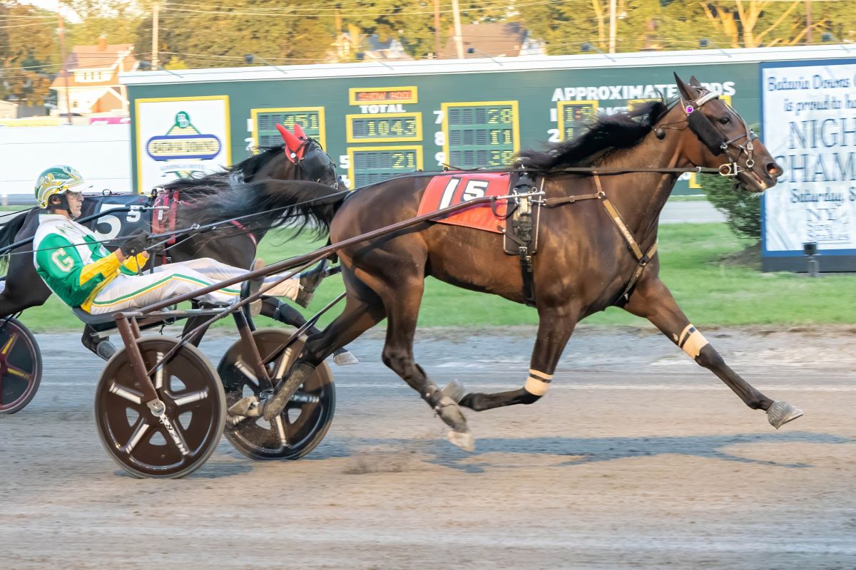 Sharp Seven cuts through late to win in NYSS