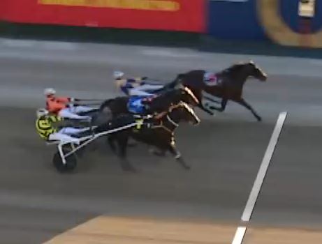 Fast winners by Warrawee Needy