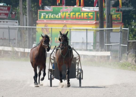 OHHA to Live Stream from Stark and Hancock County Fairs