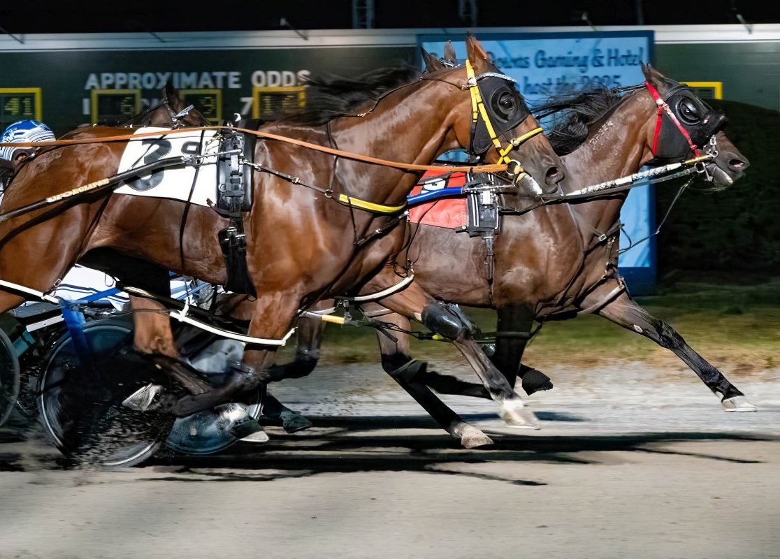 Stranger Things sneaks through gap for upset win