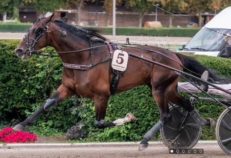 Summermusic’night S wins 130th Deutches Traber Derby