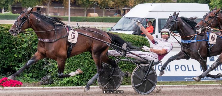 Tactical Landing sires winners in three countries