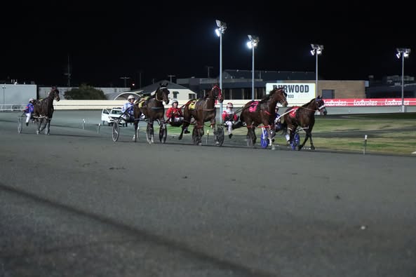 Sure Thing Captain makes amends at Albion Park in 1.50