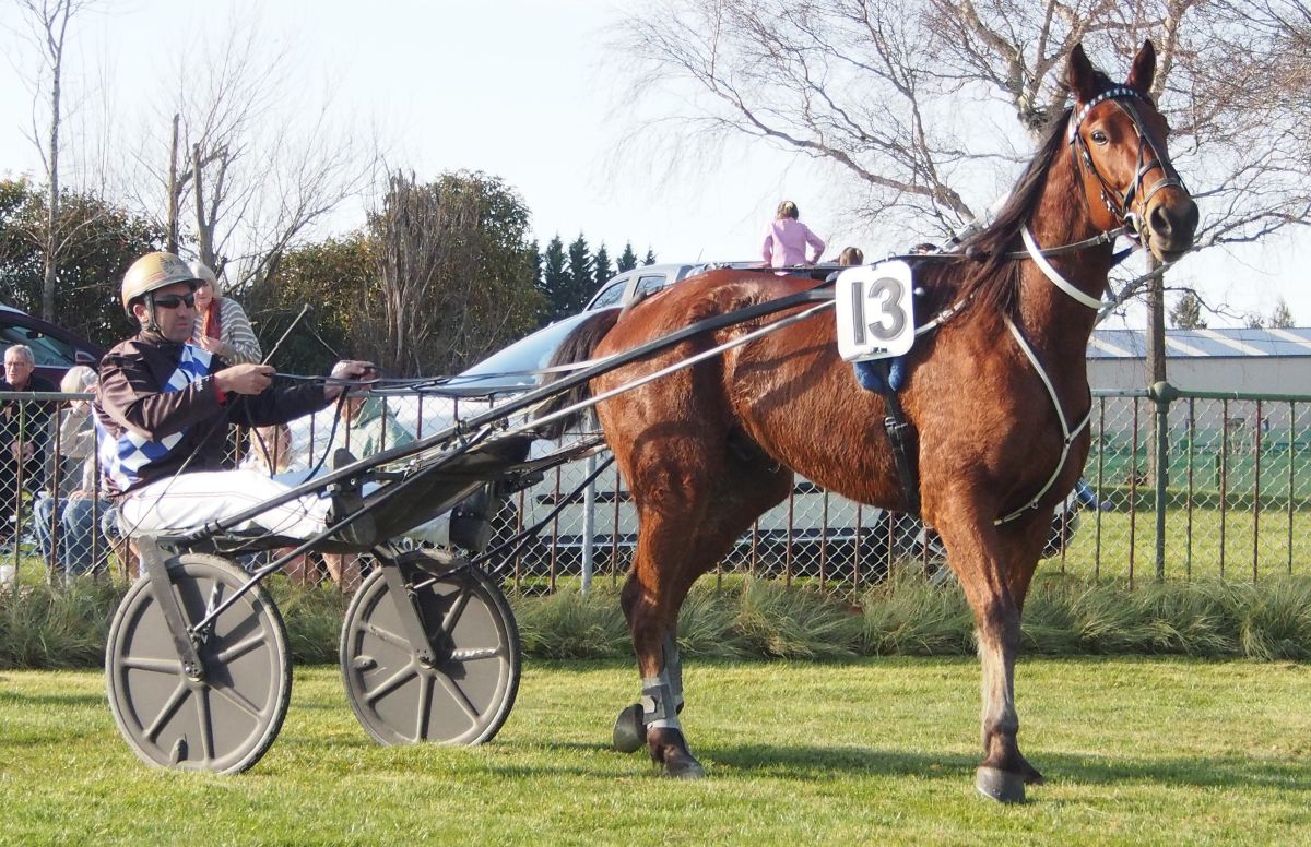 Float breakdown doesn’t stop Oamaru trainer