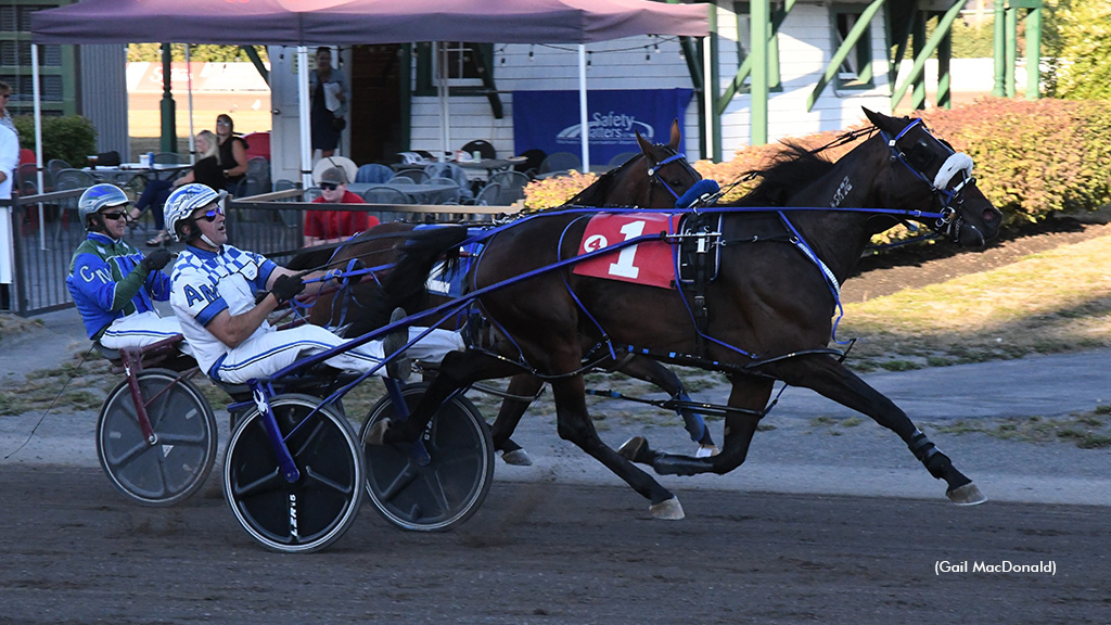 Tobins Brownie dominates from the front