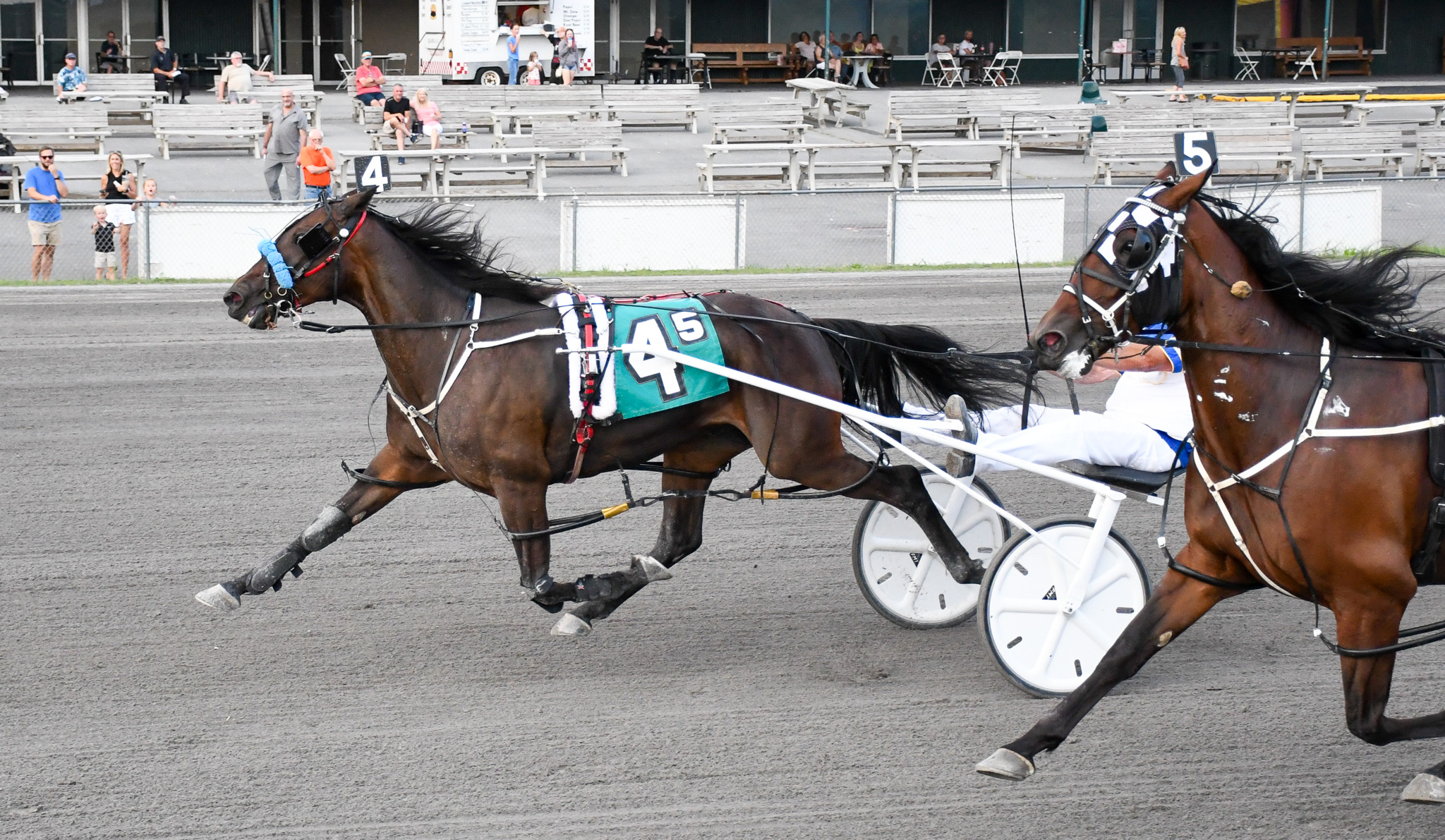 Betterthancheddar mare goes on by rivals