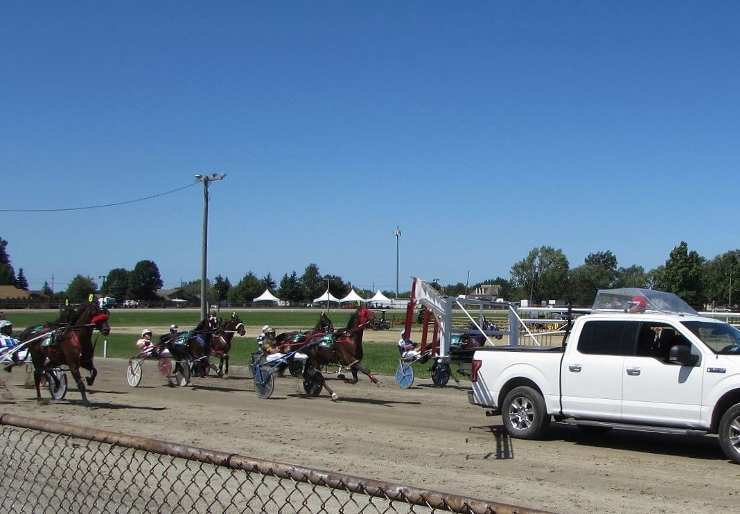 OHHA to Live Stream from Washington and Van Wert Fairs