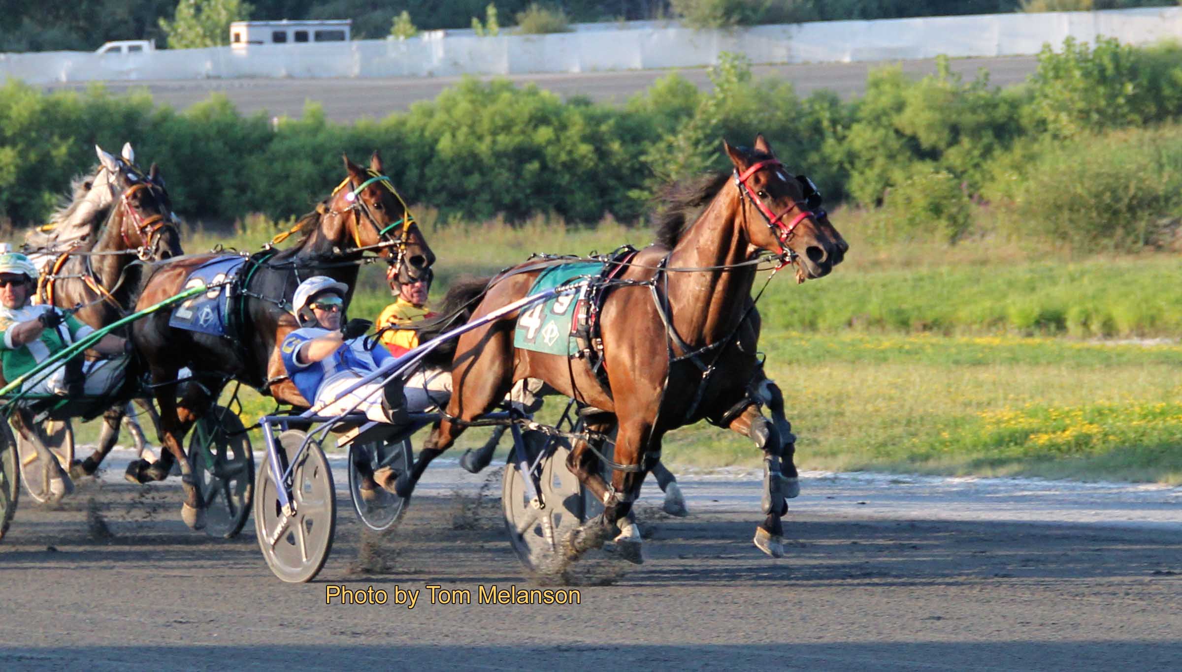 Vintage Cheddar N posts another sub-1:50 victory
