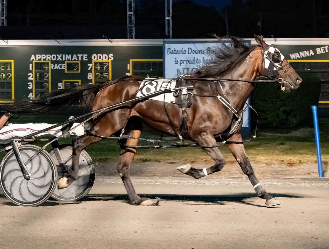 Waitforever N victorious again with a seasons best