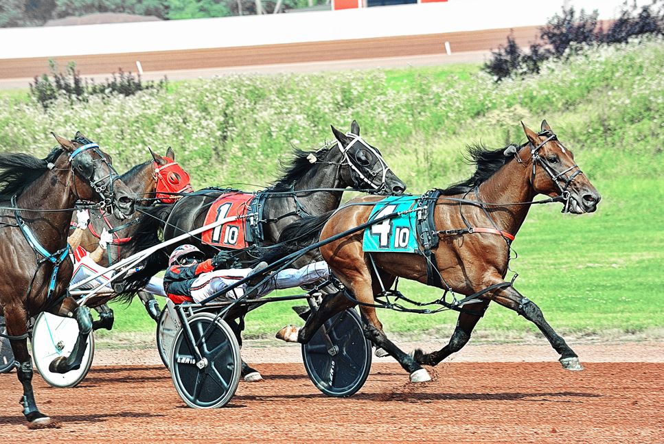 Always A Virgin mare continues building impressive career