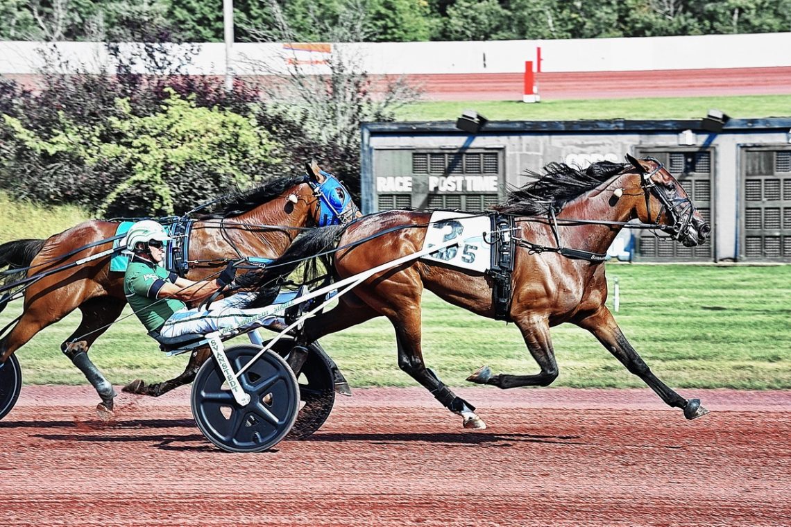 Warrawee Michelle sets world record in Sebastian K win