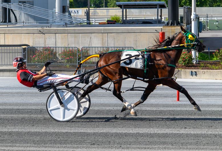 Wehadababyetzaboy gets 7th win of the year